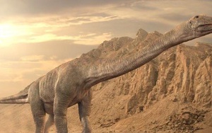 Khám bệnh cho hóa thạch khủng long 80 triệu tuổi phát hiện điều đáng sợ