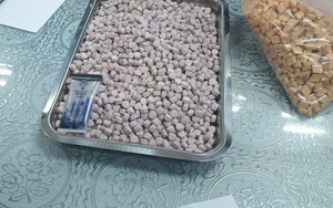 Hơn 20 kg ma tuý trong các lô hàng quà biếu được ngụy trang tinh vi về Sài Gòn