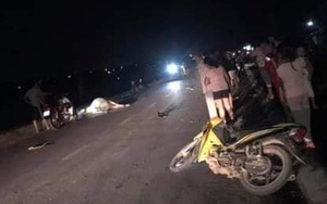 2 người thương vong vì tông trúng con bò trên quốc lộ