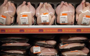 Tại sao những con gà trong siêu thị không có đầu?