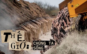 Cả triệu con chồn bị thảm sát tại Đan Mạch bỗng 'sống dậy' ngay tại mồ chôn tập thể: Cảnh tượng kinh dị gì đây?
