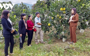 Học nhau cách làm giàu, nông dân có thu nhập hàng trăm triệu đồng