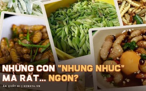 Những đặc sản làm từ sâu của Việt Nam khiến nhiều người khóc thét, có loại còn được săn lùng với mức giá cao chót vót