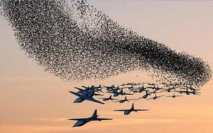 Mỹ đã có ‘thuốc đặc trị’ để tiêu diệt UAV 'bầy đàn' của Trung Quốc