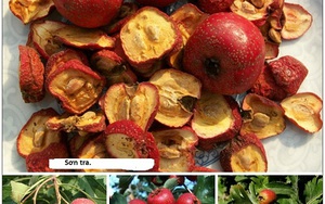 Bài thuốc Đông y ngừa tăng cân