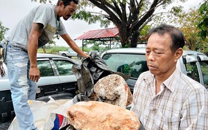 Ngư dân Thái Lan phát hiện khối u nghi là 'bãi nôn cá voi', có giá 74 tỉ đồng