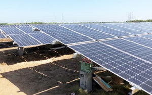 Nhiều sai sót trong phát triển điện mặt trời áp mái ở Đăk Nông