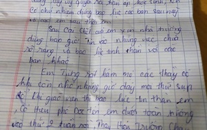 Vụ nữ sinh nghi tự tử tại trường: Sở đã nhận được 2 đơn tố cáo liên quan