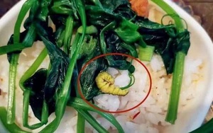Cô giáo gửi ảnh bữa ăn trưa của con cho phụ huynh rồi ngay lập tức thu hồi, sự thật khiến mọi người chết đứng