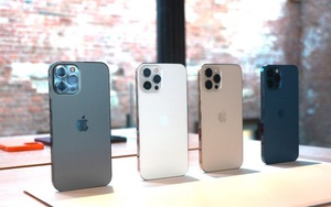 iPhone 12 và iPhone 12 Pro Max siêu lướt bán rẻ không ngờ
