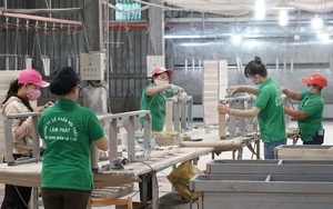 Xuất khẩu gỗ cả chục tỷ USD mỗi năm: Doanh nghiệp FDI thống lĩnh, lác đác vài doanh nghiệp nội trong top đầu