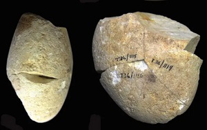 Phát hiện công cụ mài bằng đá lâu đời nhất lịch sử nhân loại