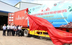Chuyên gia Nga: Thành công của Việt Nam có thể coi là 'hiện tượng' của năm 2020