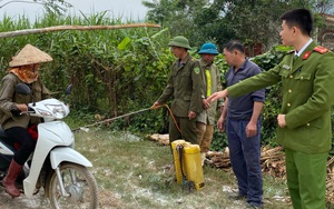 Kẻ lạ vứt hơn nửa tấn gà chết rải rác dọc bờ biển ở Nghệ An