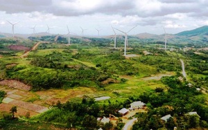 Thêm 2 dự án điện gió được Quảng Trị chấp thuận chủ trương đầu tư