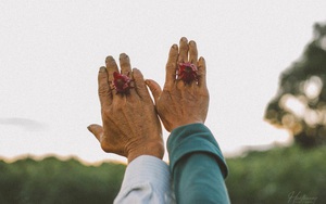 “Đôi bàn tay bố mẹ” - những thước ảnh của chàng trai Quảng Trị khiến nhiều người xúc động