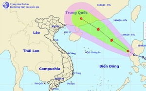 Chủ động ứng phó áp thấp nhiệt đới có khả năng mạnh lên thành bão