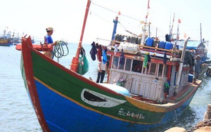 Vụ tàu cá Quảng Ngãi bị tàu Trung Quốc đâm hỏng: Yêu cầu phía Trung Quốc điều tra, xác minh