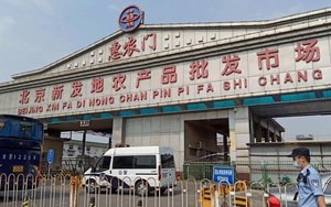 Trung Quốc truy tìm nguồn lây COVID-19 tại chợ đầu mối Bắc Kinh
