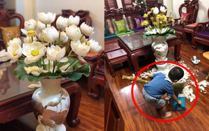 Sáng sớm cắm bình hoa đẹp nức nở, cuối ngày người mẹ "giận tím mặt" vì cảnh tượng con trai gây ra