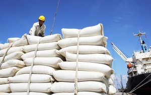 Việt Nam trúng thầu cung cấp 30.000 tấn gạo trắng cho Philippines