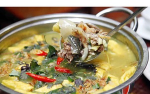 Suýt chết vì ăn thịt ba ba: Bác sĩ lưu ý 5 "không" khi ăn để tránh dị ứng, sốc phản vệ