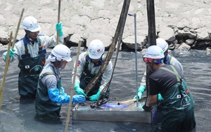 Lại um sùm việc làm sạch sông Tô Lịch bằng công nghệ Nhật Bản