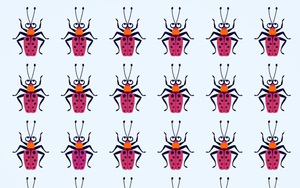 Thử độ tinh tường của thị giác: Bạn có thể tìm ra con bọ khác màu trong từng ảnh không?