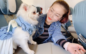 Sở thích tốn kém của diễn viên Kiều Linh, chi gần 13 triệu chỉ để cún cưng đi máy bay