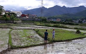 Nóng: Nghi thảm án ở Điện Biên, 3 người tử vong