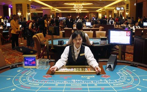 Kinh doanh casino, cá cược: Ngành công nghiệp nhiều tỷ USD đang bỏ ngỏ