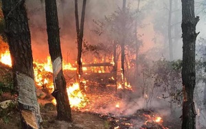 Người phụ nữ đốt rác rồi bỏ vào nhà, không ngờ lửa lan cháy cả cánh rừng