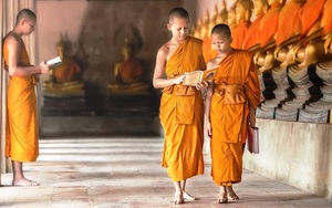 Sắp viên tịch, sư trụ trì tìm người thay thế, đệ tử được chọn khiến ai cũng bất ngờ