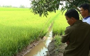 Hai người tử vong do dùng điện bẫy chuột
