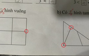Bài toán đếm hình lớp 1 đơn giản khiến phụ huynh nhiệt tình tranh cãi, nghe lý giải của học sinh mới thấy sai sai