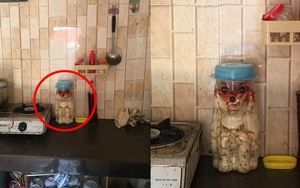 Đi lấy nước cho cháu, thanh niên hú hồn khi thấy lọ tỏi ngâm "nổi giận" trong bếp