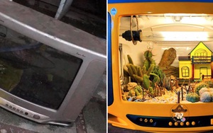 Mua lại chiếc tivi cũ giá 20k ở hàng đồng nát, cậu bạn hô biến nó thành hộp đựng khu vườn siêu xinh
