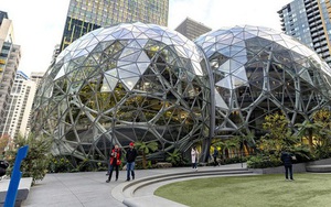 Điều tra chấn động: Amazon chơi xấu, 'giả vờ' đầu tư sau đó lấy cắp toàn bộ dữ liệu để cho ra sản phẩm y hệt khiến hàng loạt startup chết yểu