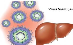 Việt Nam đang nằm trong vùng có tỷ lệ lây nhiềm virus viêm gan cao nhất