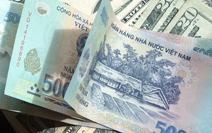 Giá USD giữ ổn định trong khi giá vàng tăng liên tiếp