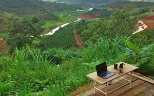 Cảnh báo tình trạng phân lô đất rừng, đất nông nghiệp làm du lịch dạng farmstay