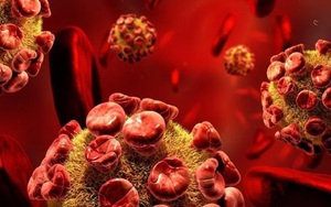 Virus biến tế bào vật chủ thành “nhà máy”