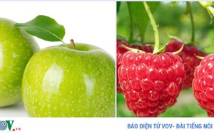Những loại thực phẩm tốt hơn khi ăn cùng nhau