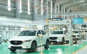Thị trường ô tô sau một tuần giảm 50% phí trước bạ
