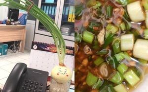 Cô nàng theo trend trồng hành tây để bàn như phim Hàn và cái kết bất ngờ khiến dân mạng sững sờ nhận ra chân lý: Có thực mới vực được... lãng mạn