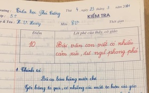 Chữ viết đẹp và đều tăm tắp như con gái, 10 năm không đổi của nam sinh Bách Khoa gây bão tại "Siêu trí tuệ Việt Nam"