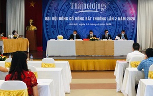 Thaiholdings thông qua tăng vốn lên 3.500 tỷ đồng để mua 82% cổ phần Thaigroup