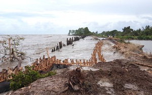 Kiên Giang công bố tình trạng sạt lở đê biển nghiêm trọng
