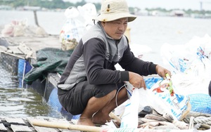 Mất hàng tỷ đồng vì cá chết bất thường trên sông Chà Và