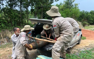 Đào mỏ đá, phát hiện quả bom 'khủng' nằm sâu trong lòng đất